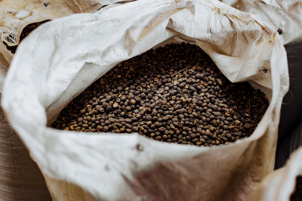 Indonesie Barokah Kerinci Espresso